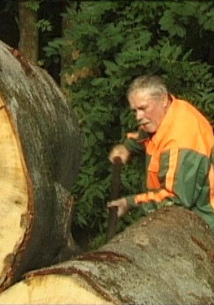 Raimund - Ein Jahr davor