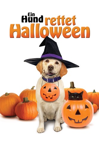 Ein Hund rettet Halloween