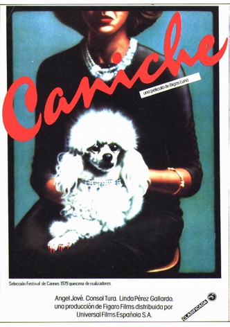 Caniche