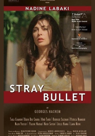 Stray Bullet