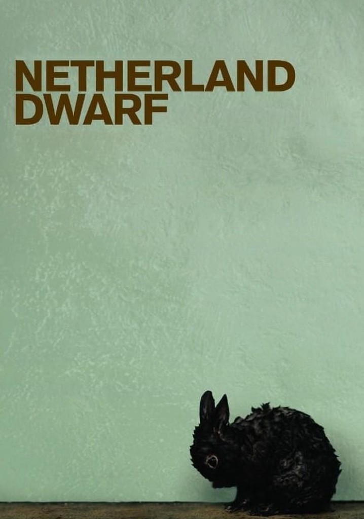 Netherland Dwarf