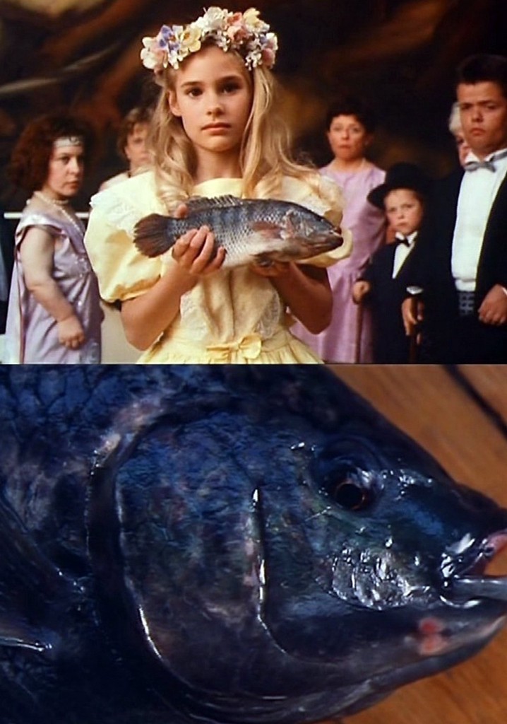 Thoughts and Visions of a Severed Head