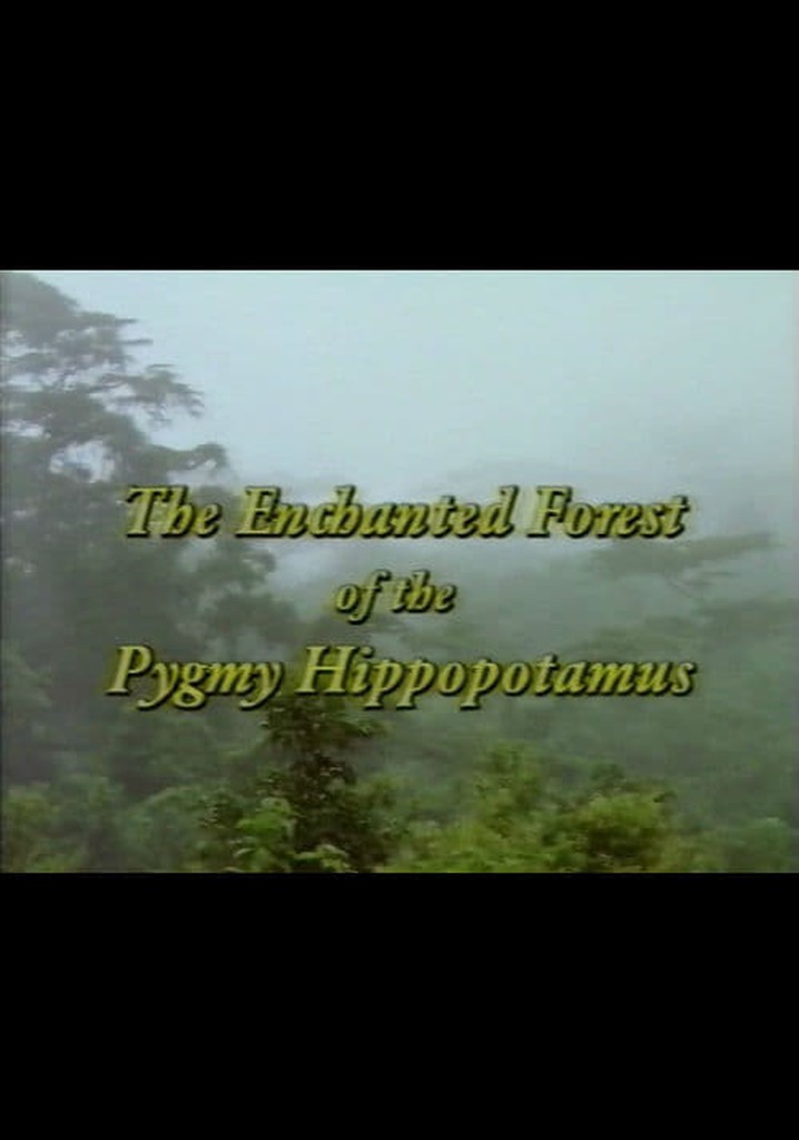 The Enchanted Forest of the Pygmy Hippopotamus