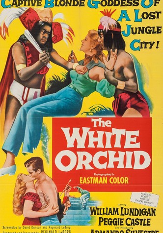The White Orchid