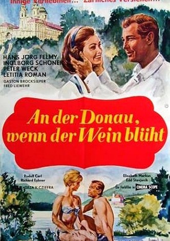 An der Donau, wenn der Wein blüht