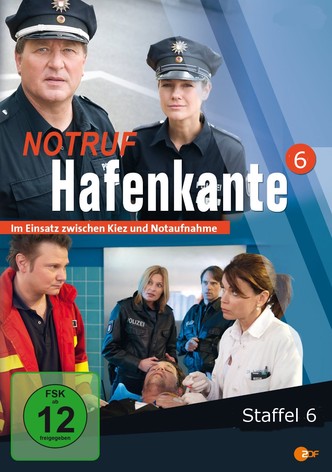 Staffel 6