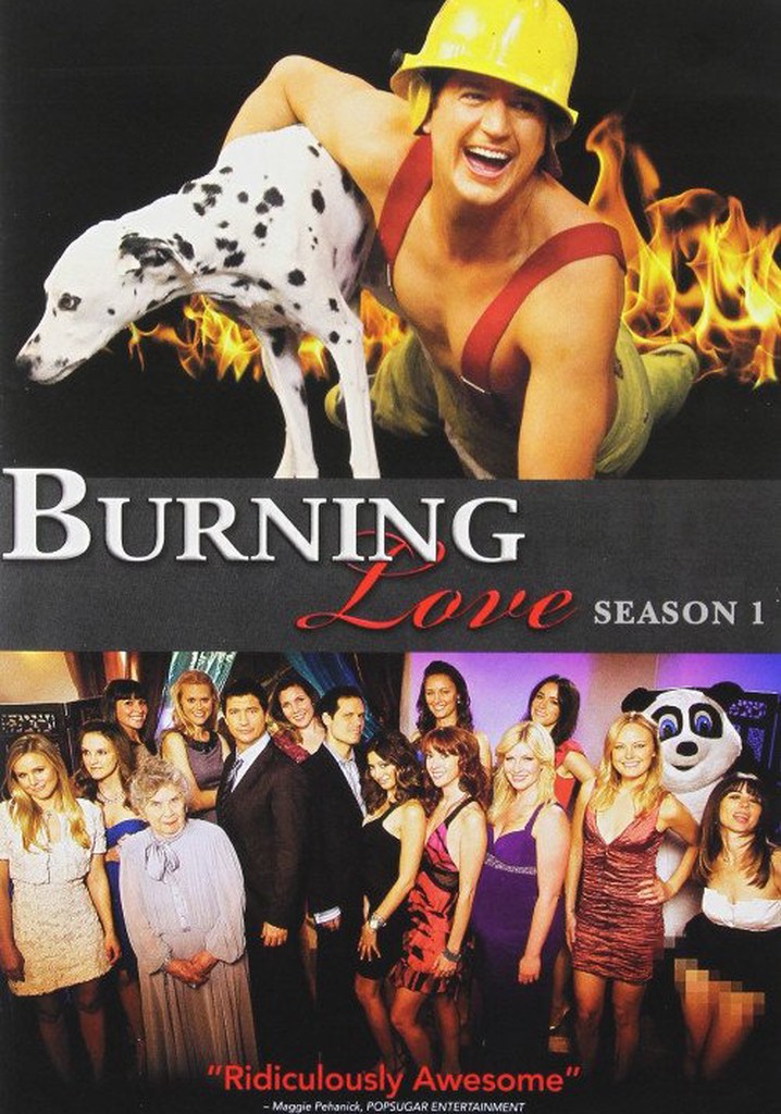 Burning love. Сериал Burning Love. Burning Love фильм. Burning Love (2012). Cannons 2012 - Burning Love.