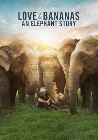 Love & Bananas: An Elephant Story