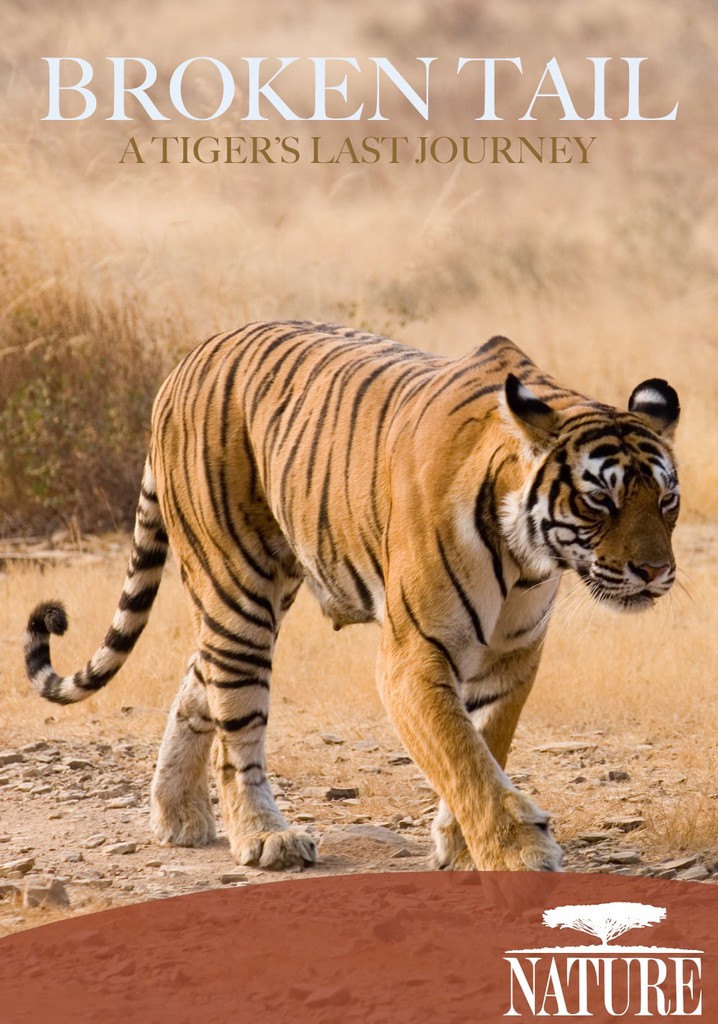 Broken Tail: A Tiger's Last Journey