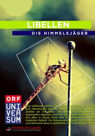 Libellen - Die Himmelsjäger