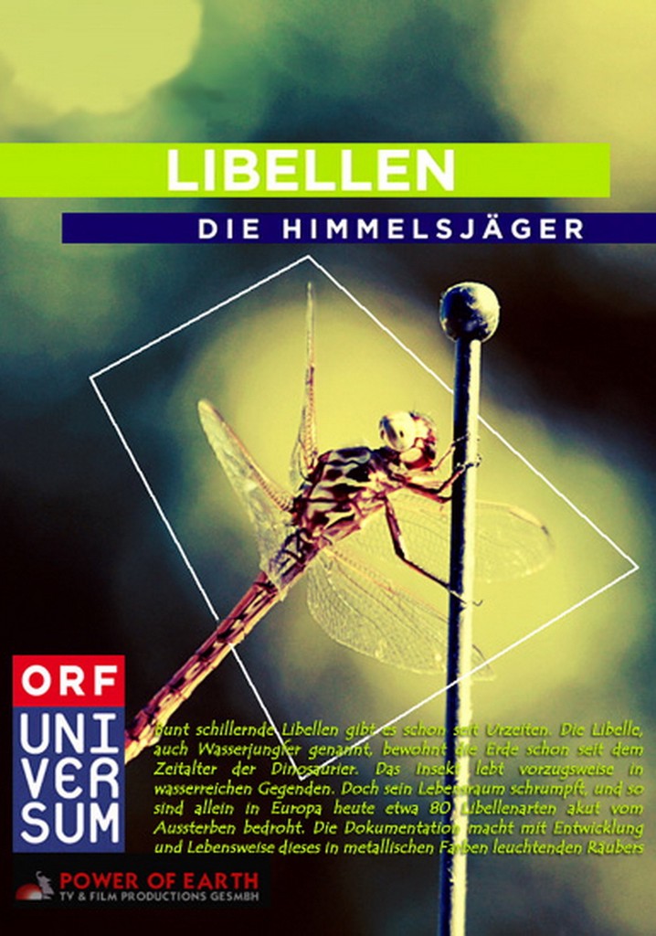 Libellen - Die Himmelsjäger
