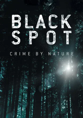 Black Spot poster