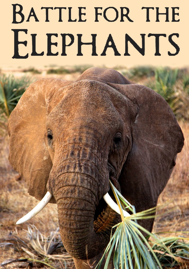 Battle for the Elephants