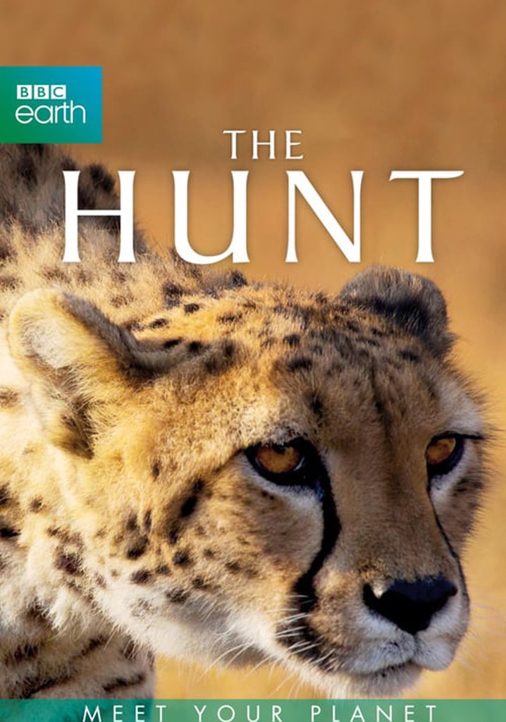 BBC Earth - The Hunt