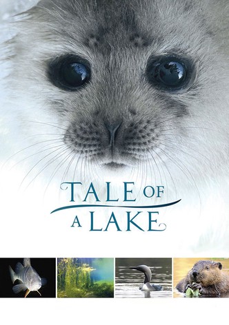 Tale of a Lake