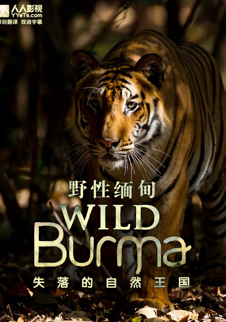 Wild Burma: Nature's Lost Kingdom