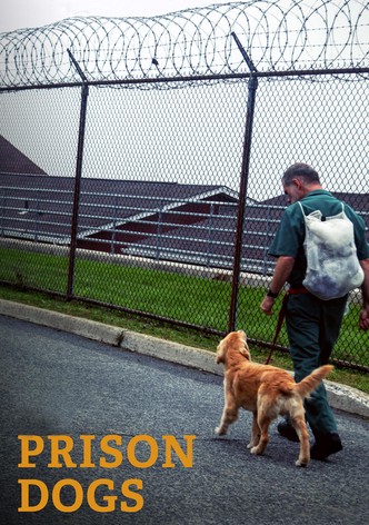 Prison Dogs