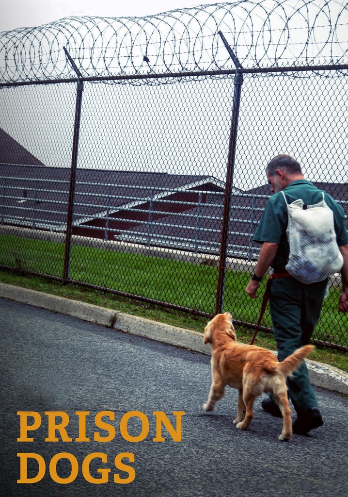 Prison Dogs