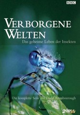 Verborgene Welten