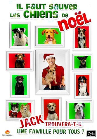 Il faut sauver les chiens de Noël