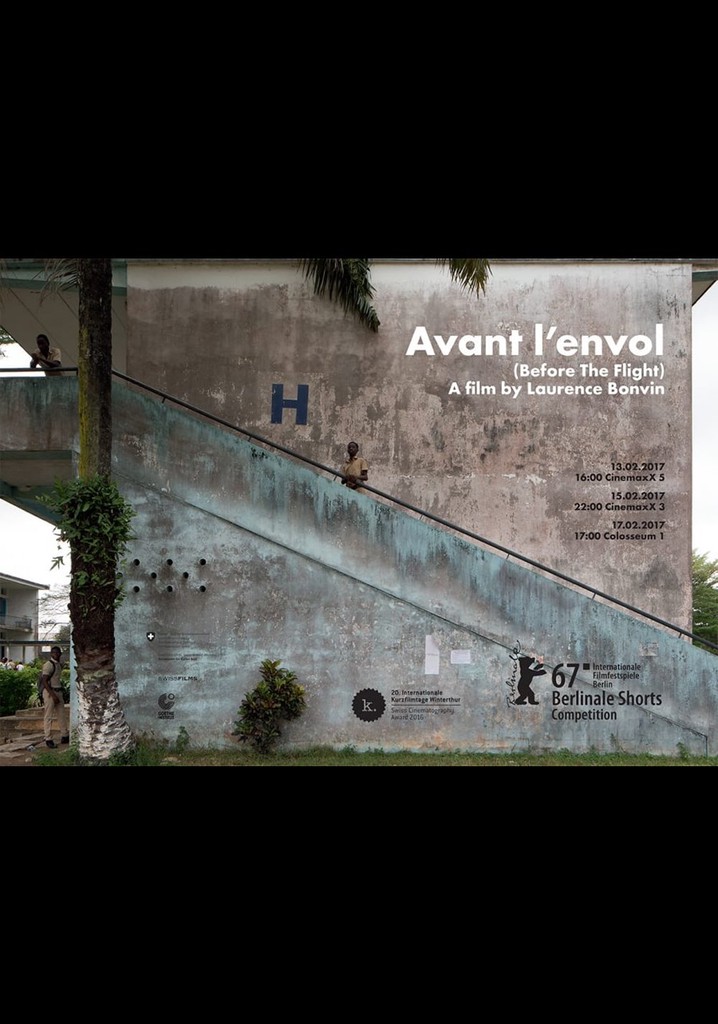 Avant l'envol