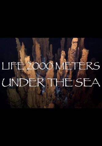 Life 2,000 Meters Under the Sea