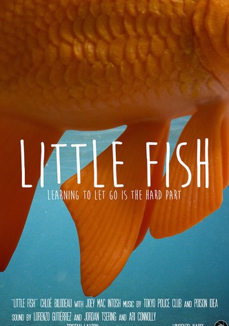 Little Fish