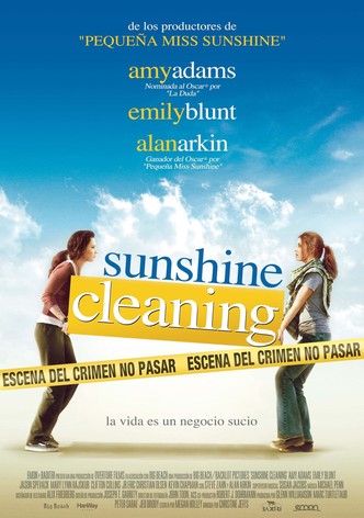 Sunshine Cleaning