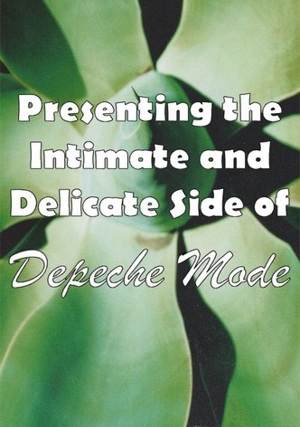 Depeche Mode: 1999–2002 “Presenting the Intimate and Delicate side of Depeche Mode”