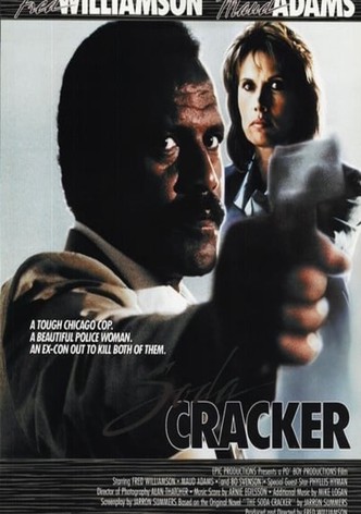 Soda Cracker