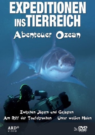 Expeditionen ins Tierreich - Abenteuer Ozean