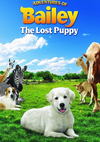 Adventures of Bailey: The Lost Puppy