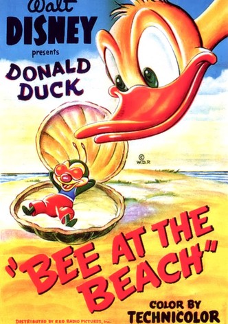 Donald à la Plage