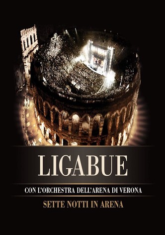 Ligabue Sette Notti In Arena