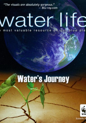 Water Life