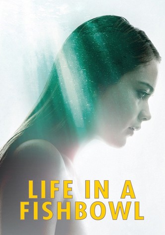 La vida en una pecera