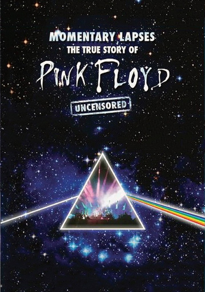 Pink Floyd: Momentary Lapses - The True Story of Pink Floyd