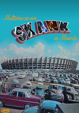 Skank ao Vivo no Mineirão