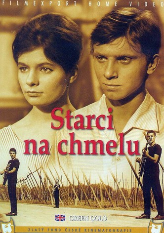 El amor se cosecha en verano