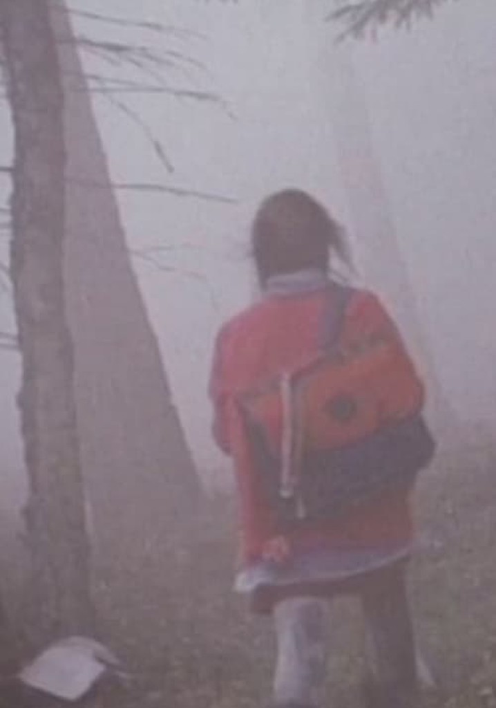 The Girl in the Mist