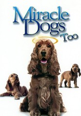 Miracle Dogs Too