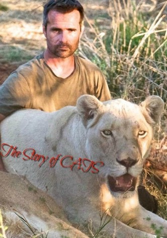 The Story of Cats - Řada 1