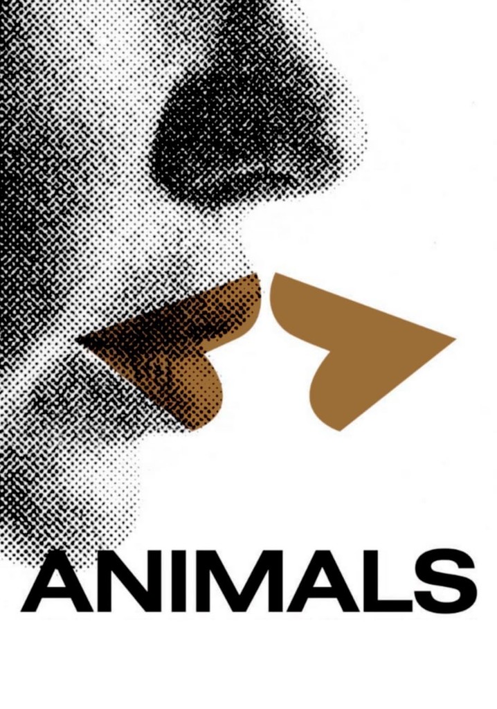 Hayvanlar