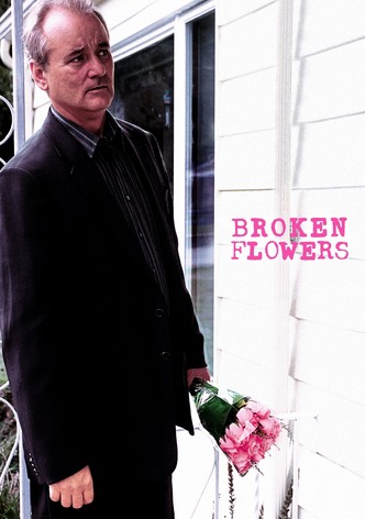 Broken Flowers - särkyneet kukat