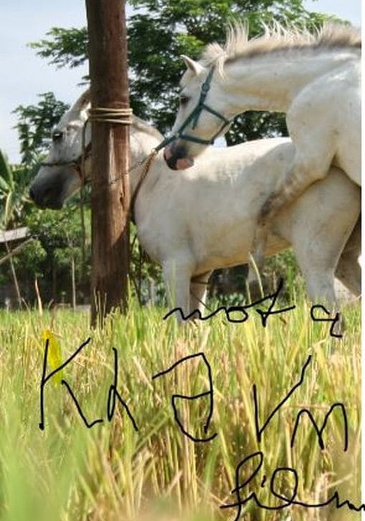 The Muzzled Horse of an Engineer in Search of Mechanical Saddles