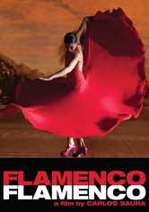 Flamenco Flamenco