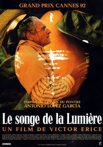 Le songe de la lumière