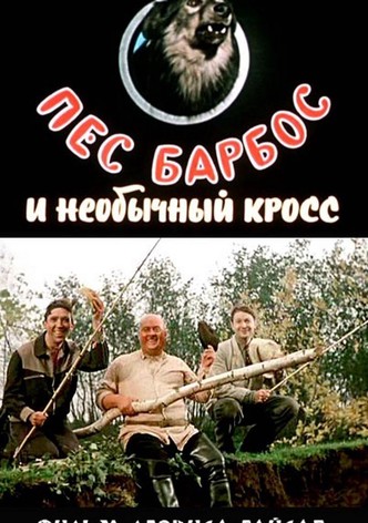 Пёс Барбос и необычный кросс