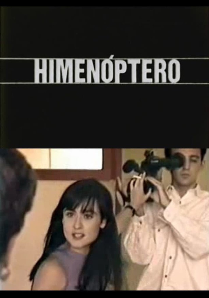 Himenóptero