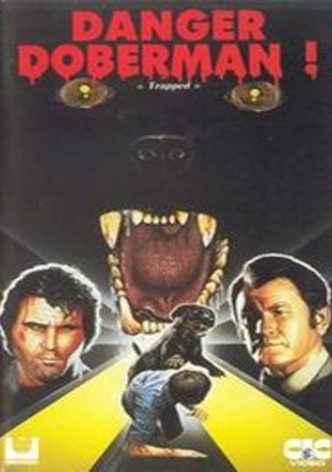 Danger doberman !